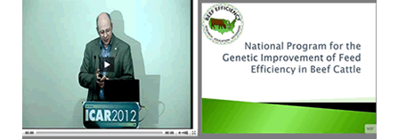 Feed Efficiency Project