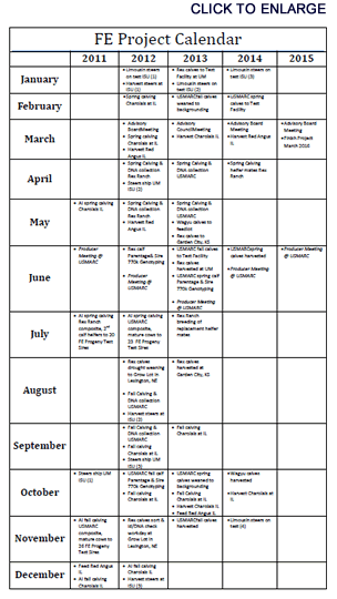 Project calendar - CLICK TO ENLARGE