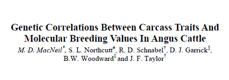 Genetic Correlations Between Carcass Traits And Molecular Breeding Values In Angus Cattle