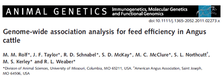 Genome-wide association analysis for feed efficiency in Angus cattle
