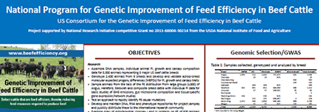 National Program for Genetic Improvement of Feed Efficiency in Beef Cattle