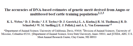 The accuracies of DNA-based estimates of genetic merit derived from Angus or multibreed beef cattle training populations
